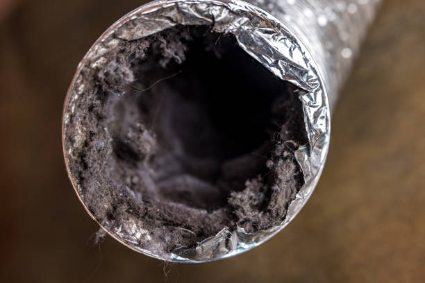 Best General Air Duct Cleaning  in Liolnton, NC