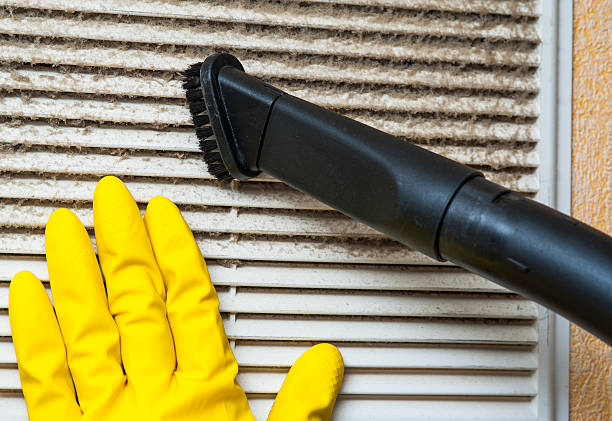 Best Professional Duct Cleaning Services  in Liolnton, NC